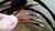 Lenkerschalter links, mit Kabelsatz, ohne Lichthupe, Kawasaki H2/A, H1B-500, S1/A, S2/A, Repro